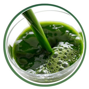 Vegetable Juice Concentrate Icon
