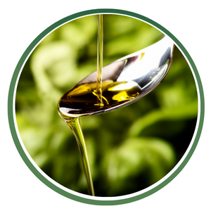 Edible Oils Icon