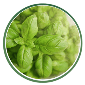 Certified Organic Ingredients Icon