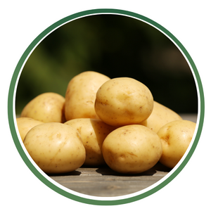 Potato Ingredients Icon