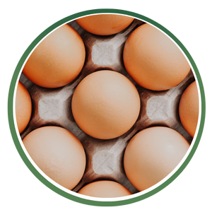 Egg Products Icon