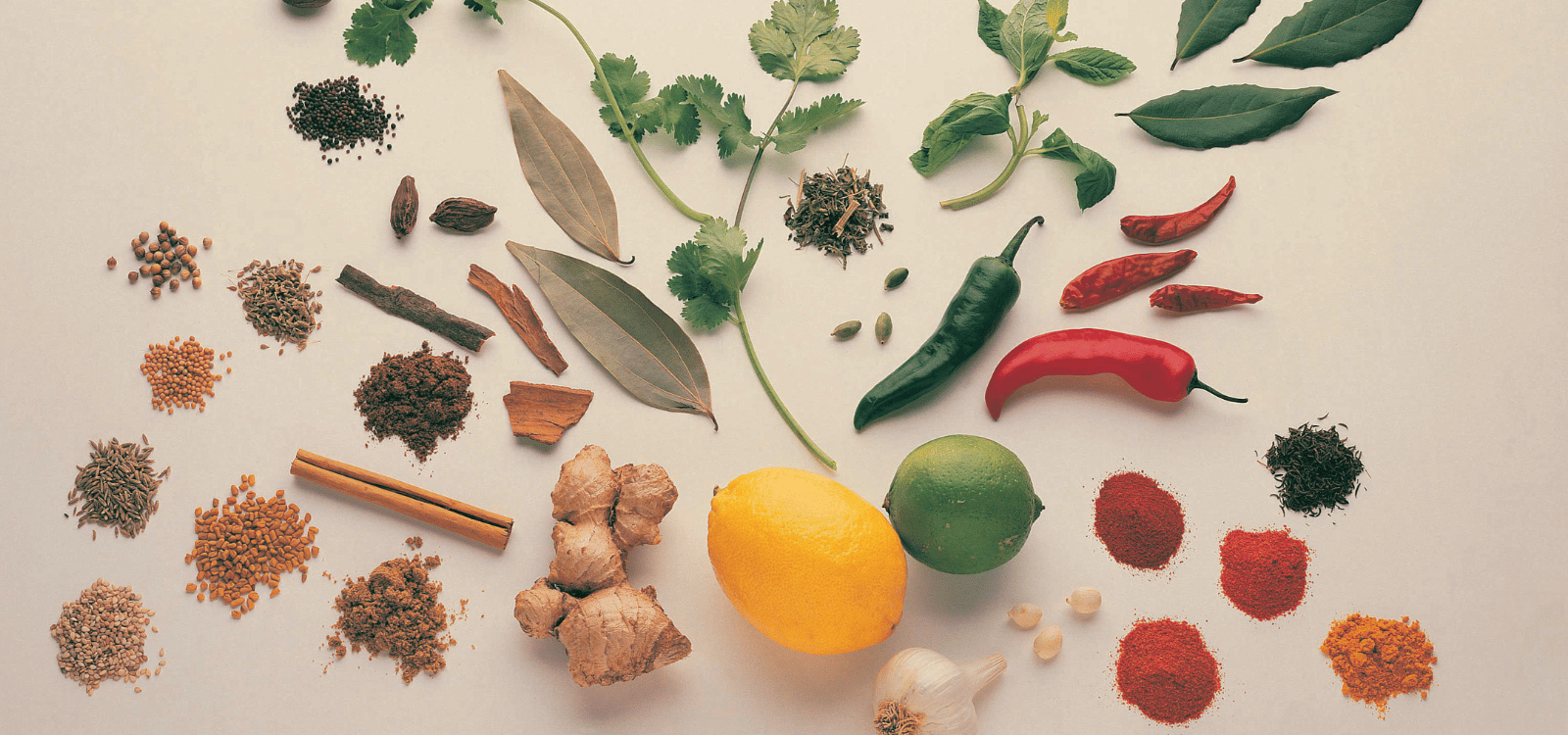 AIFI One-Stop Nutritional Supplement Ingredient Sourcing Search