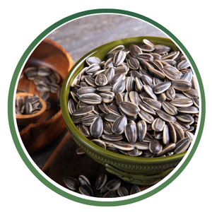 Seeds Category Icon
