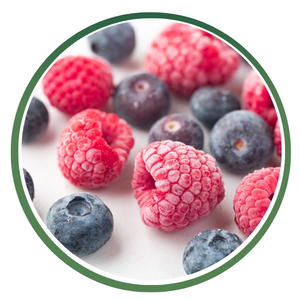 Frozen Fruits Icon